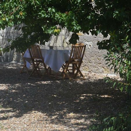 Gîte dans le vignoble de Bourgueil Le Port Boulet Extérieur photo