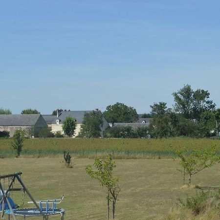 Gîte dans le vignoble de Bourgueil Le Port Boulet Extérieur photo