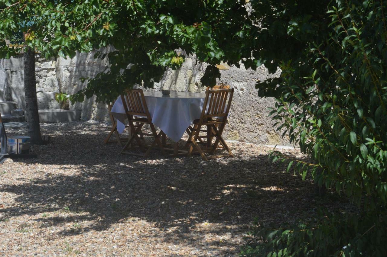 Gîte dans le vignoble de Bourgueil Le Port Boulet Extérieur photo