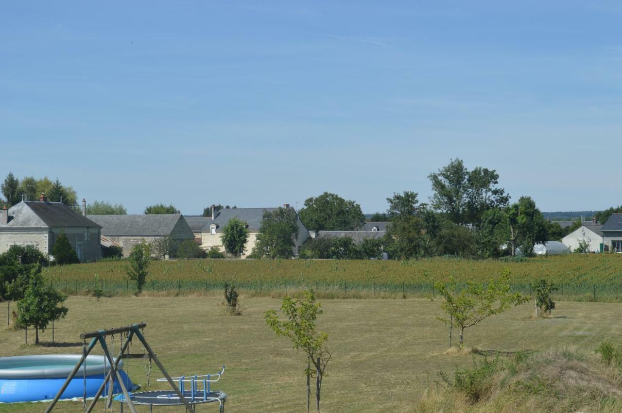 Gîte dans le vignoble de Bourgueil Le Port Boulet Extérieur photo