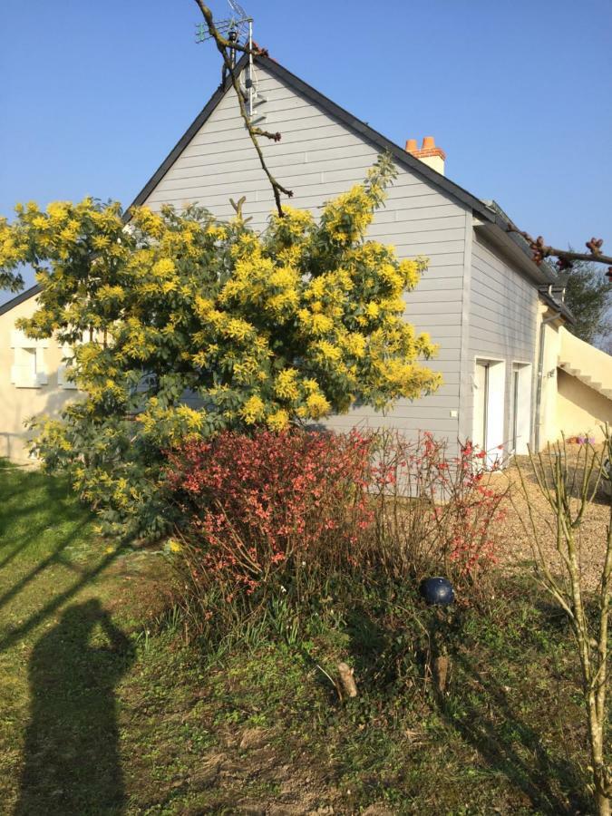 Gîte dans le vignoble de Bourgueil Le Port Boulet Extérieur photo